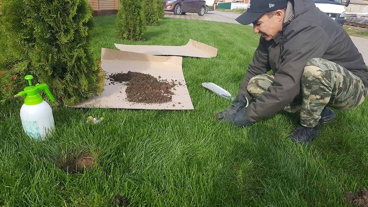 Уничтожение кротов борьба с кротами на садовом участке - Уничтожение и обработка от кротов честные цены – Наша служба оказывает услуги уничтожения кротов и слепышей в Ананьинской заказать Уничтожение кротов борьба с кротами на садовом участке - Уничтожение и обработка от кротов честные цены – Наша служба оказывает услуги уничтожения кротов и слепышей в Ананьинской заказать