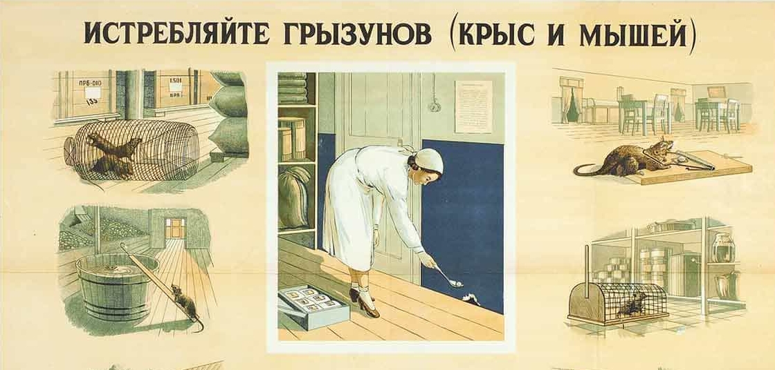 Дератизация помещений в Ананьинской и Московской области - Дератизация в Ананьинской цена - Услуги дезинсекции дезинфекции дератизации в Ананьинской и области Дератизация помещений в Ананьинской и Московской области - Дератизация в Ананьинской цена - Услуги дезинсекции дезинфекции дератизации в Ананьинской и области