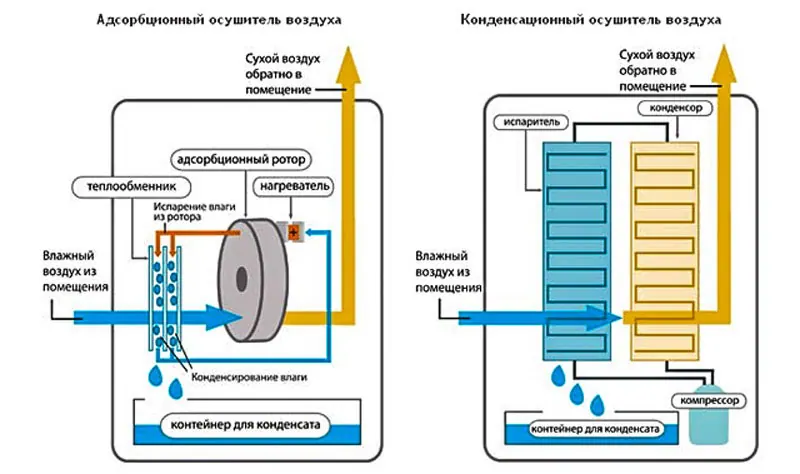 Специалисты СЭС. Уничтожить насекомых. Дератизация. Санитарная обработка помещений ROS-DEZ Специалисты СЭС. Истребление насекомых. Дезинфекция. Клопы, тараканы. ROS-DEZ