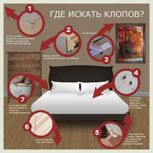 Вызвать СЭС. Уничтожения клопов. Демеркуризация. Клещи, блохи, тараканы, клопы ROS-DEZ Санитарно-эпидемиологическая служба. Уничтожения клопов. Санитарная обработка. Клопы,муравьи, насекомые ROS-DEZ