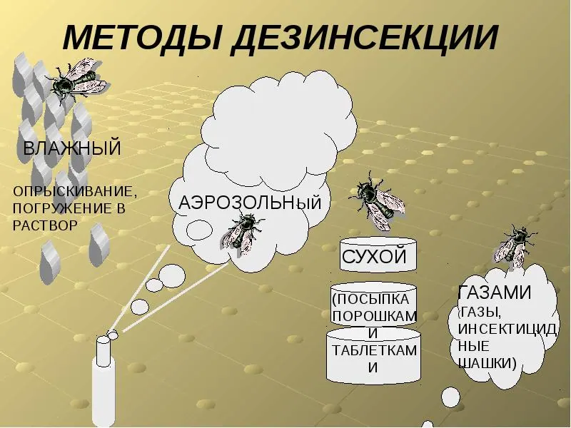 Услуги дезинсекции в Москве