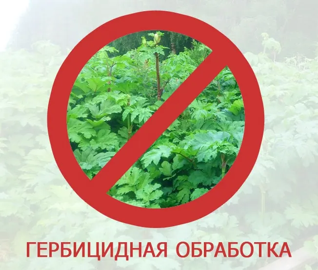 Уничтожение насекомых. Истребление насекомых. Дератизация. Дезинсекция.Дератизация ROS-DEZ Обработка помещений. Уничтожения клопов. Работа по СанПин. Дезинсекция.Дератизация ROS-DEZ