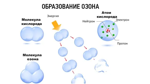 Сотрудников СЭС. Уничтожение постельных клопов. Санитарная обработка. Дезинсекция.Дератизация ROS-DEZ