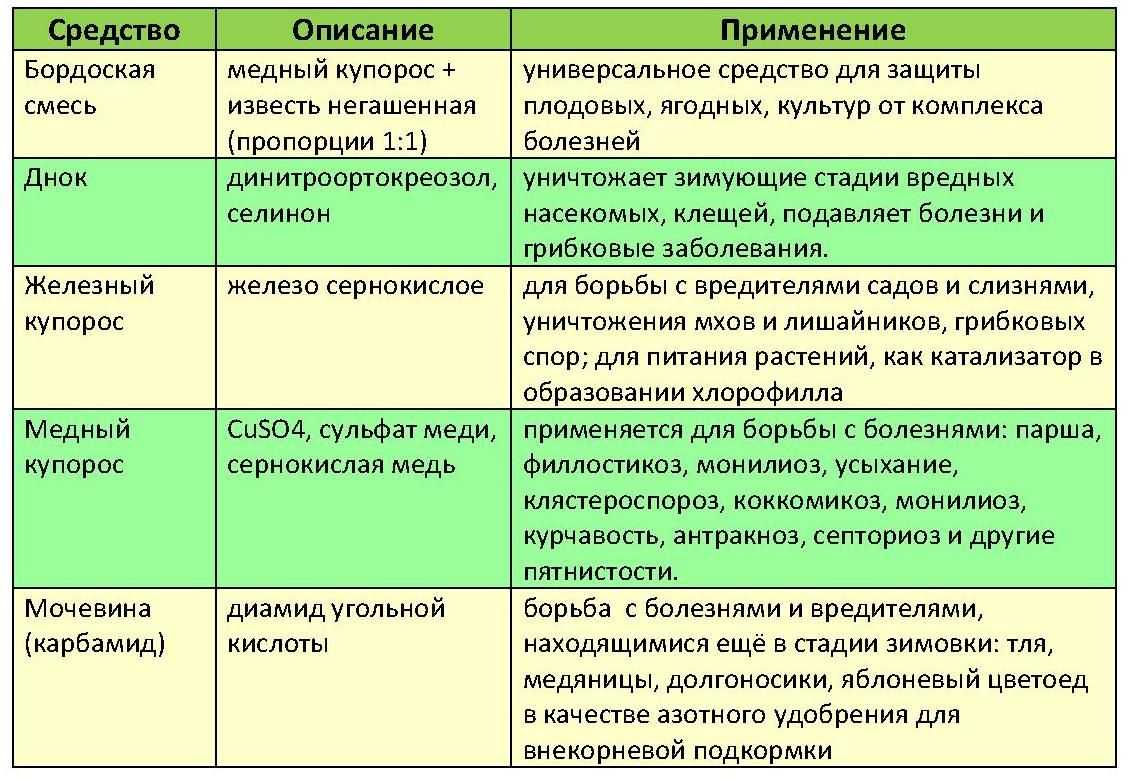 Уничтожение клопов. Уничтожения клопов. Санитарная обработка. Дезинсекция.Дератизация ROS-DEZ Специалисты СЭС. Услугу дезинсекции. Работа по СанПин. Клопы,муравьи, насекомые ROS-DEZ
