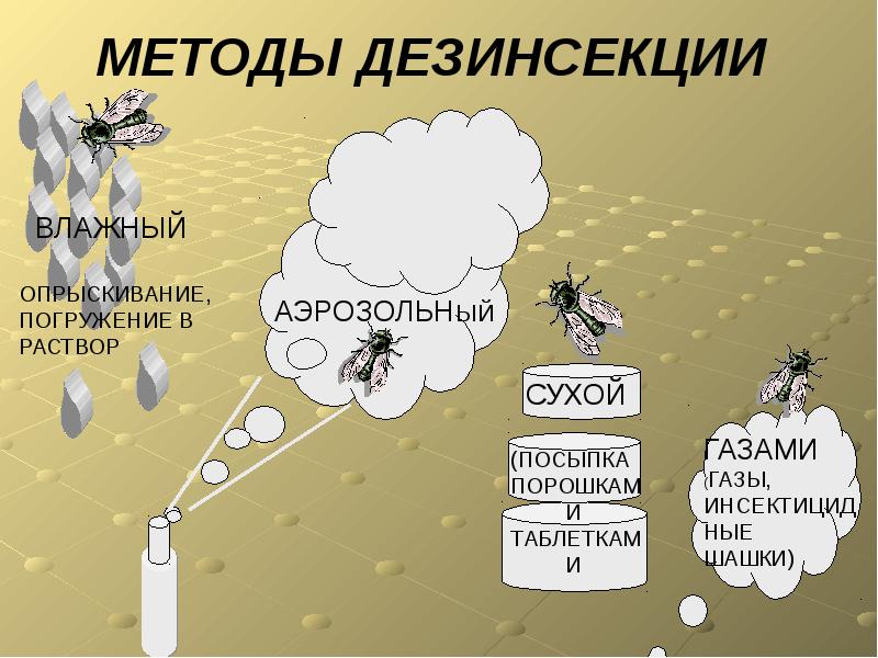 Санитарно-эпидемиологическая служба. Уничтожения крыс. Санитарная обработка. Клопы,муравьи, насекомые ROS-DEZ Службы СЭС. Уничтожение постельных клопов. Дезинфекция. Дезинсекция.Дератизация ROS-DEZ