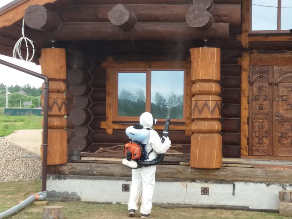 Закажите обработку хвойных деревьев от короеда – Методы борьбы с жуком короедом - Обработаем деревья от короеда