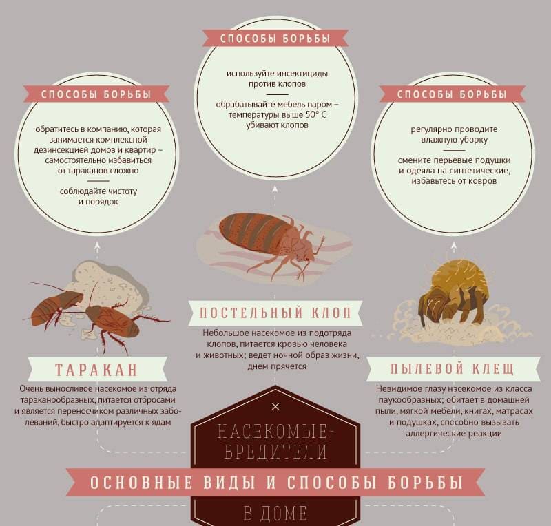 Гарантированное уничтожение насекомых и грызунов в Барвихе дезинсекция - Центр дезинфекции в Барвихе услуги выведения насекомых дезинсекция - Полное истребление насекомых уничтожение насекомых в Барвихе цена