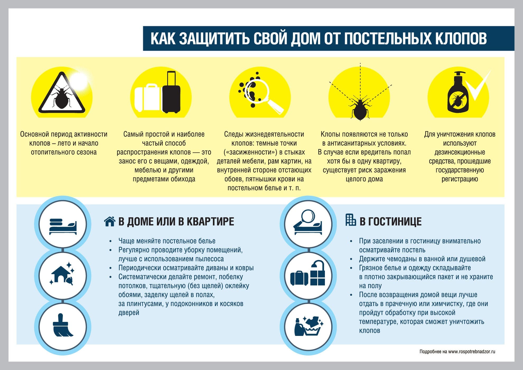 Наш центр предлагает травлю клопов в квартире в Бижбуляке до полного результата - Профессиональная санэпидемстанция в Бижбуляке обработка от клопов - Травля постельных клопов уничтожение 