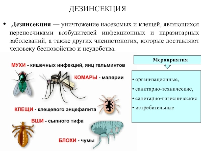 Сотрудники санэпидемстанции. Уничтожения тараканов. Демеркуризация. Дезинсекция.Дератизация ROS-DEZ