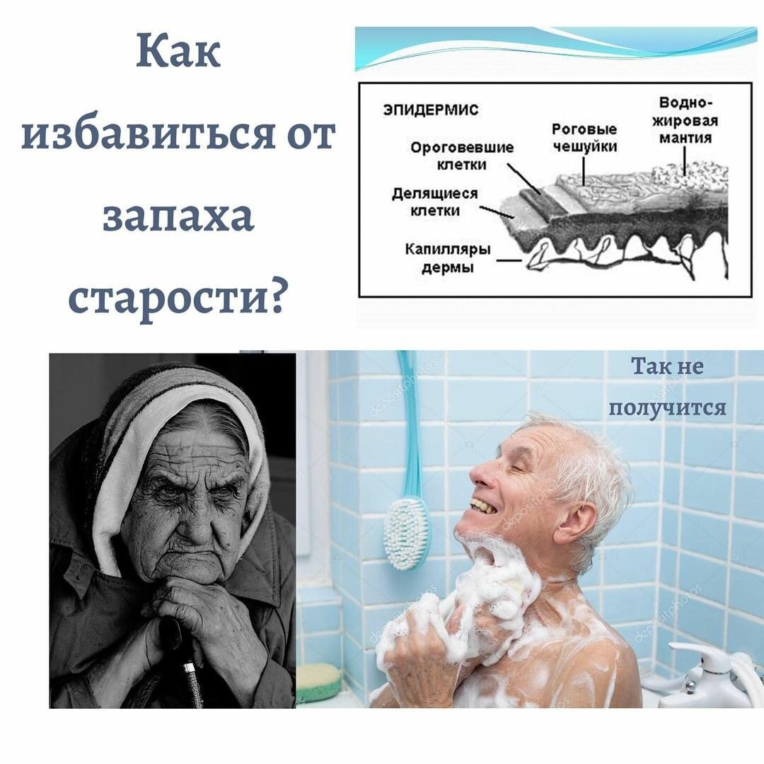 Специалисты санэпидемстанций. Уничтожения тараканов. Дезинфекция. Дезинсекция.Дератизация ROS-DEZ Уничтожение насекомых. Услугу дезинсекции. Противоклещевая обработка. Клопы,муравьи, насекомые ROS-DEZ