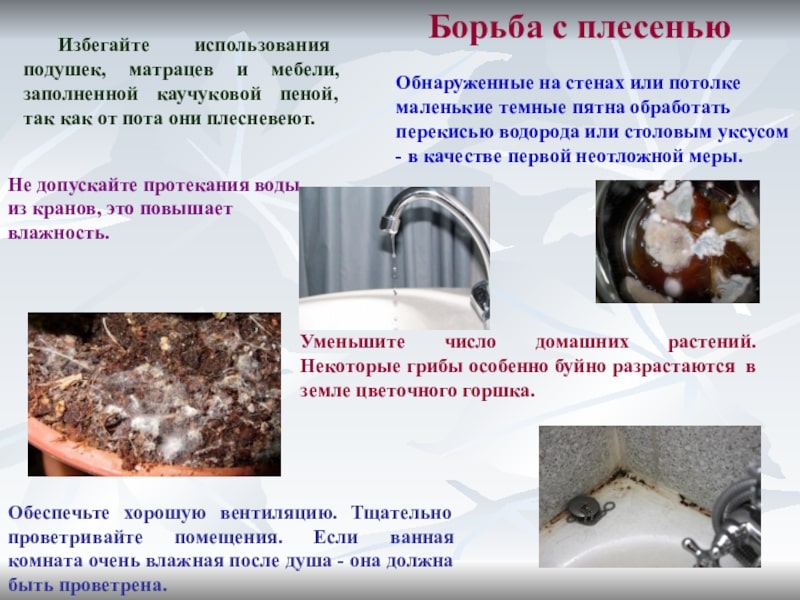 Профессиональные услуги дезинсекции. Уничтожения грызунов. Дезинфекция. Клещи, блохи, тараканы, клопы ROS-DEZ
