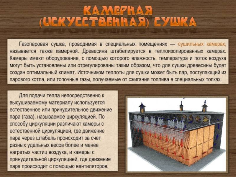 Обработка помещений. Уничтожения клопов. Дезинфекция. Насекомые.Грызуны. ROS-DEZ