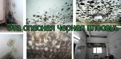 Уничтожение насекомых. Уничтожить насекомых. Дезинсекция. Санитарная обработка помещений ROS-DEZ