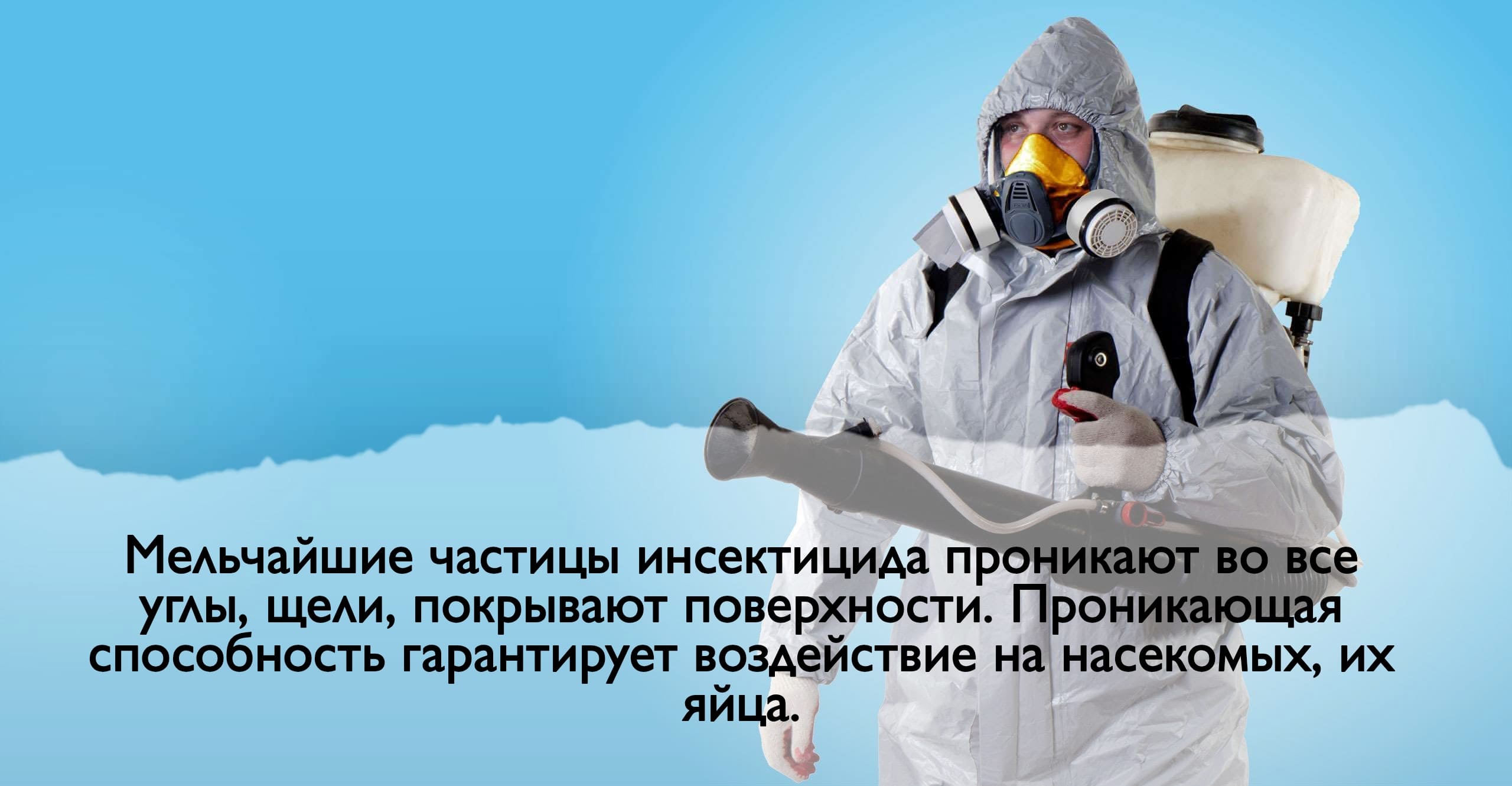 Уничтожение клопов горячим и холодным туманом – Эффективность тумана против клопов – Способы применения холодного тумана от клопов