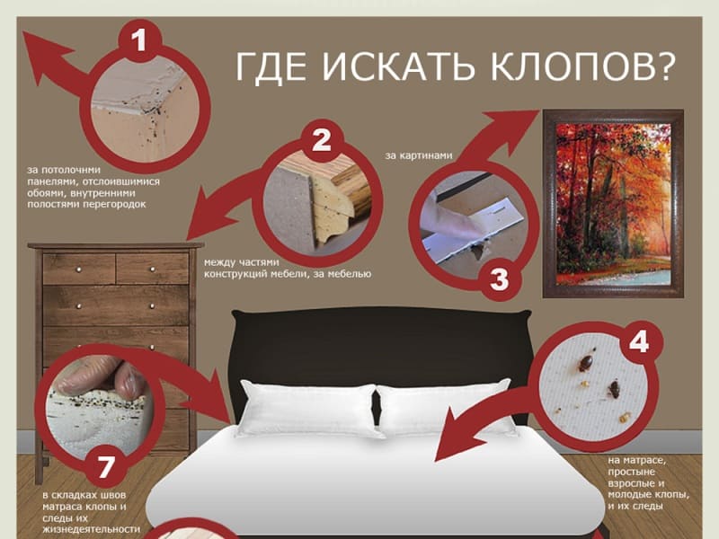 ⭐⭐⭐⭐⭐Компания по обработке от вредителей - Качественное уничтожение насекомых. Профессиональная услуга  по .............. в Кунцевской и области. Работа с ип и юр лицами. Без запаха. Звоните