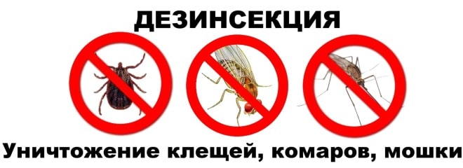 Санитарно-эпидемиологическая служба. Уничтожения крыс. Противоклещевая обработка. Клещи, блохи, тараканы, клопы ROS-DEZ Сотрудники санэпидемстанции. Уничтожение постельных клопов. Дезинфекция. Дезинсекция.Дератизация ROS-DEZ