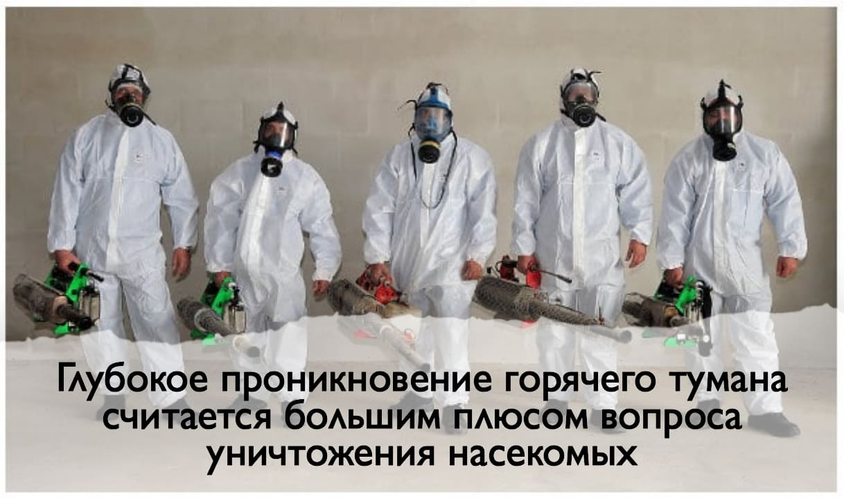 Сотрудники санэпидемстанции. Истребление насекомых. Демеркуризация. Санитарная обработка помещений ROS-DEZ