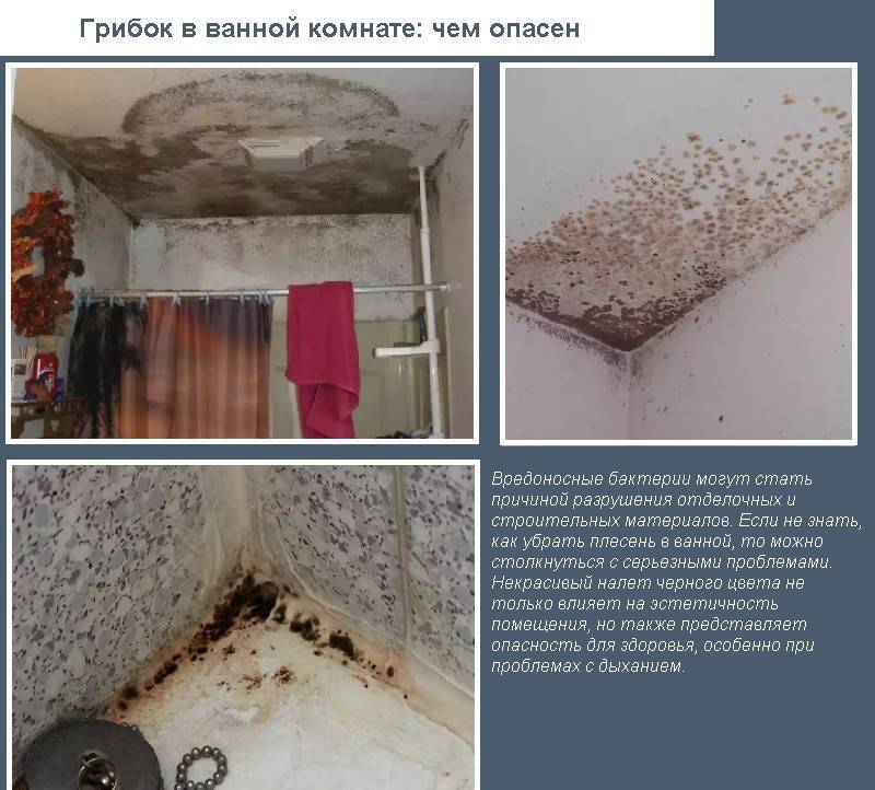 Сотрудники санэпидемстанции. Уничтожения клопов. Работа по СанПин. Насекомые.Грызуны. ROS-DEZ