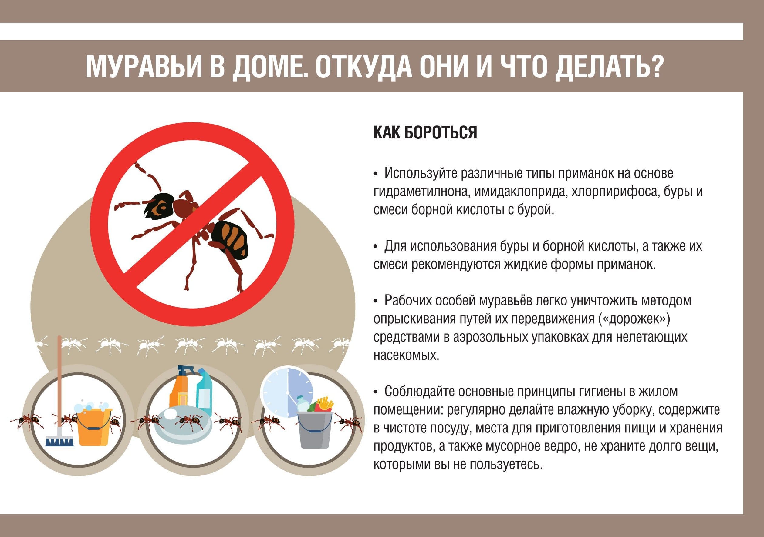 Уничтожение клопов. Уничтожить насекомых. Демеркуризация. Санитарная обработка помещений ROS-DEZ