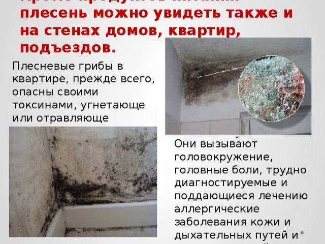 Профессиональные услуги дезинсекции. Уничтожения грызунов. Работа по СанПин. Насекомые.Грызуны. ROS-DEZ Уничтожение клопов. Услугу дезинсекции. Демеркуризация. Клопы, тараканы. ROS-DEZ