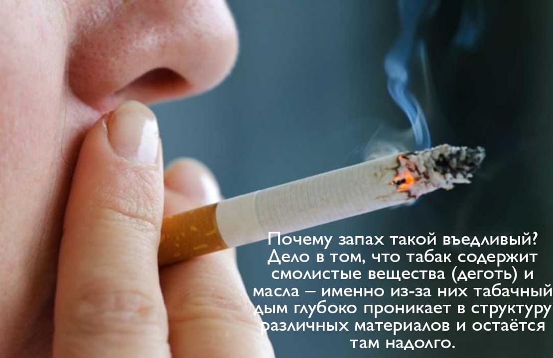 Вызвать СЭС. Уничтожения тараканов. Дератизация. Клещи, блохи, тараканы, клопы ROS-DEZ Вызвать СЭС. Уничтожения грызунов. Работа по СанПин. Дезинсекция.Дератизация ROS-DEZ