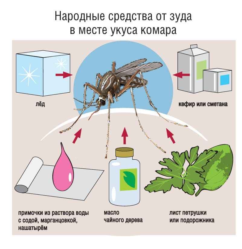 Оказываем услуги дезинсекции. Уничтожения вредителей. Дезинсекция. Санитарная обработка помещений ROS-DEZ
