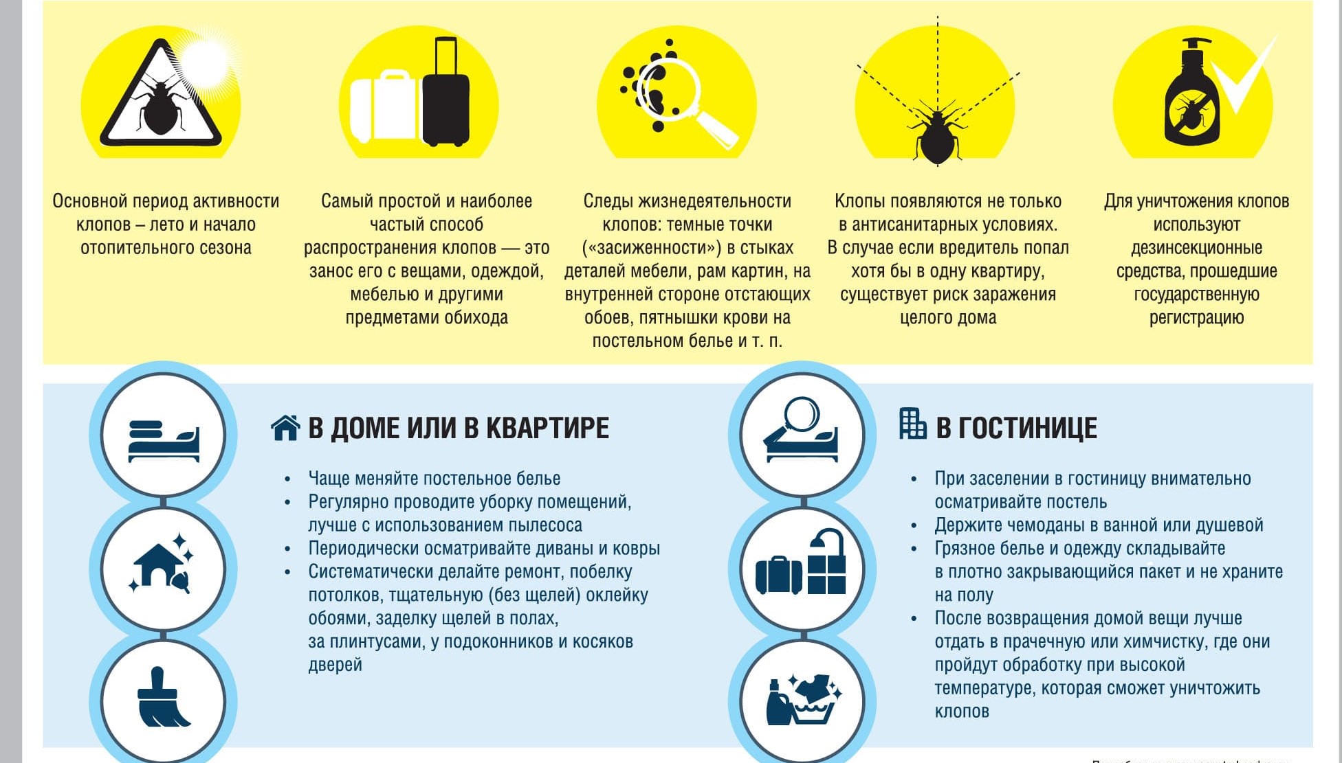 Уничтожение клопов и тараканов в квартире в Петропавловске-Камчатском - Уничтожение клопов тараканов в Петропавловске-Камчатском с гарантией - Городская служба дезинфекции от клопов тараканов и других насекомых