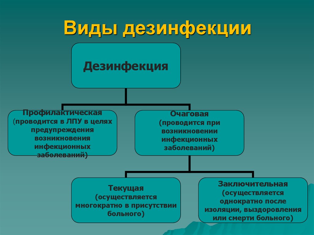 В зависимости от назначения дезинфекция делится на профилактическую и очаговую - В Петропавловске-Камчатском дезинфекция от коронавируса covid - Дезинфекция компания дезинфекции дезинсекции