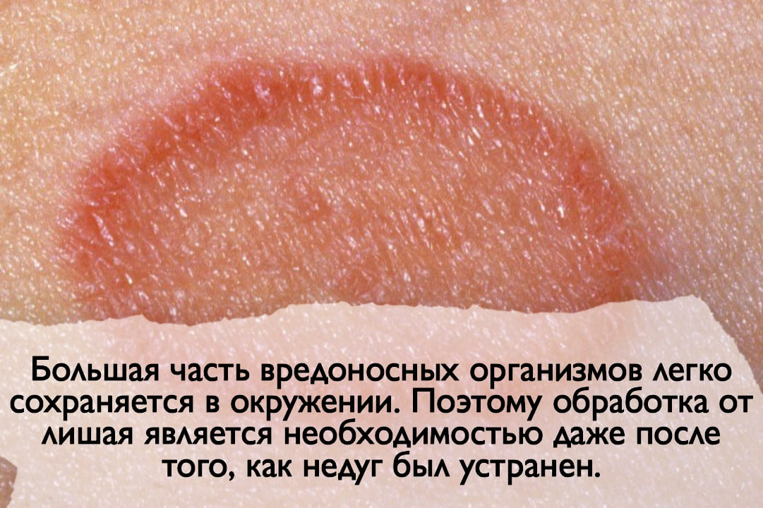 Санитарно-эпидемиологическая служба. Уничтожения тараканов. Дератизация. Клопы, тараканы. ROS-DEZ
