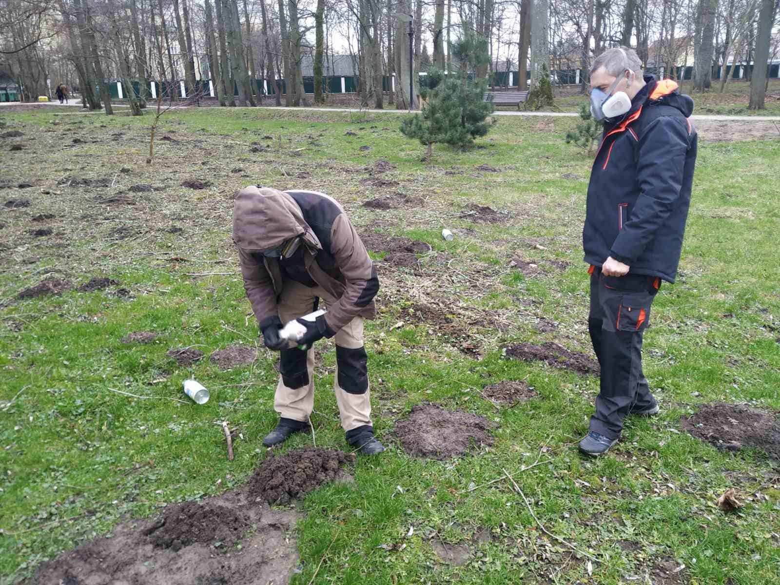 В Петропавловске-Камчатском уничтожение кротов садовом участке – Дератизация кротов в Петропавловске-Камчатском цены - Услуги по уничтожению кротов на участке обработка