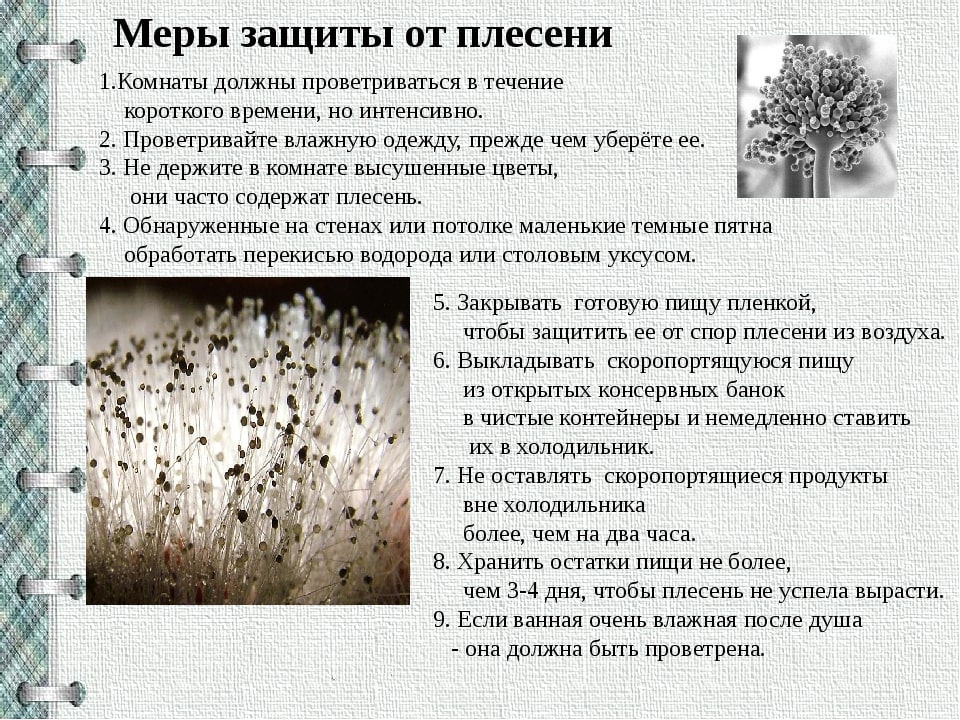 Профессиональные услуги дезинсекции. Уничтожения крыс. Санитарная обработка. Насекомые.Грызуны. ROS-DEZ Специалисты санэпидемстанций. Уничтожения грызунов. Демеркуризация. Клопы, тараканы. ROS-DEZ