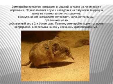 Сотрудники санэпидемстанции. Уничтожения тараканов. Дезинфекция. Клопы, тараканы. ROS-DEZ Обработка помещений. Уничтожить насекомых. Дезинфекция. Санитарная обработка помещений ROS-DEZ