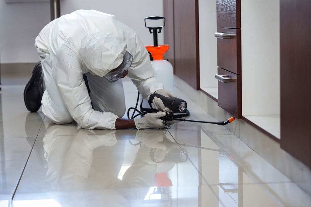 Служба дезинсекции в Санкт-Петербурге дезинсекция помещений в Санкт-Петербурге с гарантией - Служба Санкт-Петербурга услуги травли клопов в Санкт-Петербурге и области дезинсекция в Санкт-Петербурге - Дезинсекции дезинфекции услуги в Санкт-Петербурге с гарантией заказать услуги санэпидемстанции в Московской области цены
