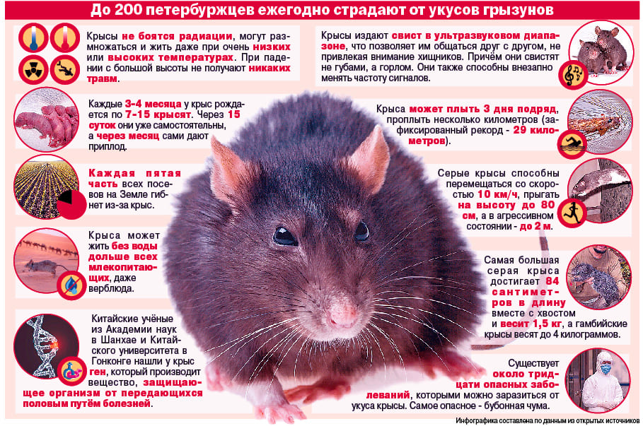 Оказываем услуги дезинсекции. Истребление насекомых. Дезинсекция. Санитарная обработка помещений ROS-DEZ