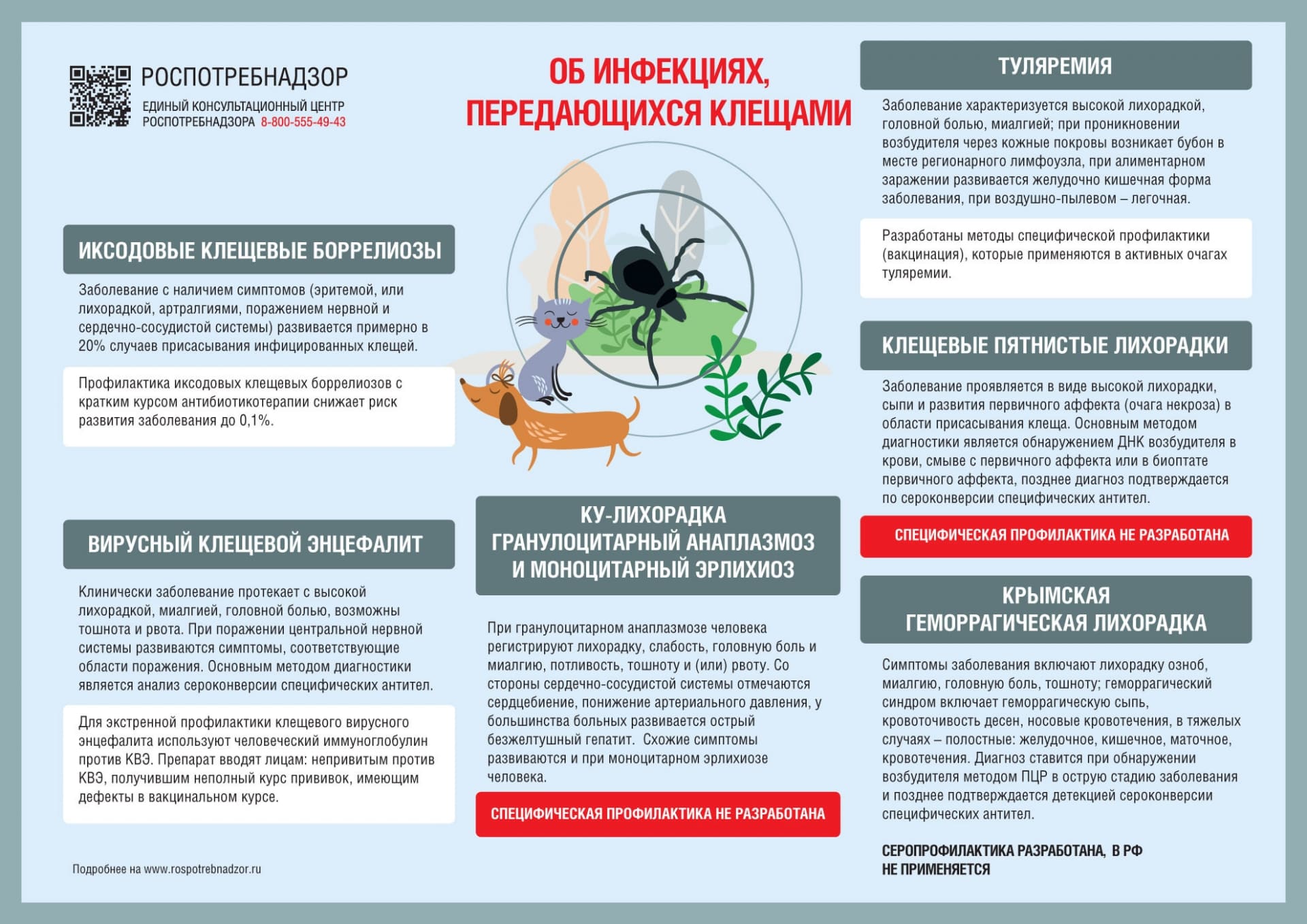 Уничтожение клещей в Северке на дачном участке - карицидная обработка от клещей - Обработку участка клещей в московской области Уничтожение клещей в Северке на дачном участке - карицидная обработка от клещей - Обработку участка клещей в московской области