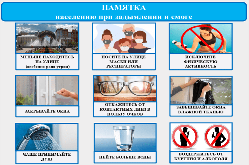 Сайт санэпидемстанции. Уничтожение постельных клопов. Демеркуризация. Насекомые.Грызуны. ROS-DEZ