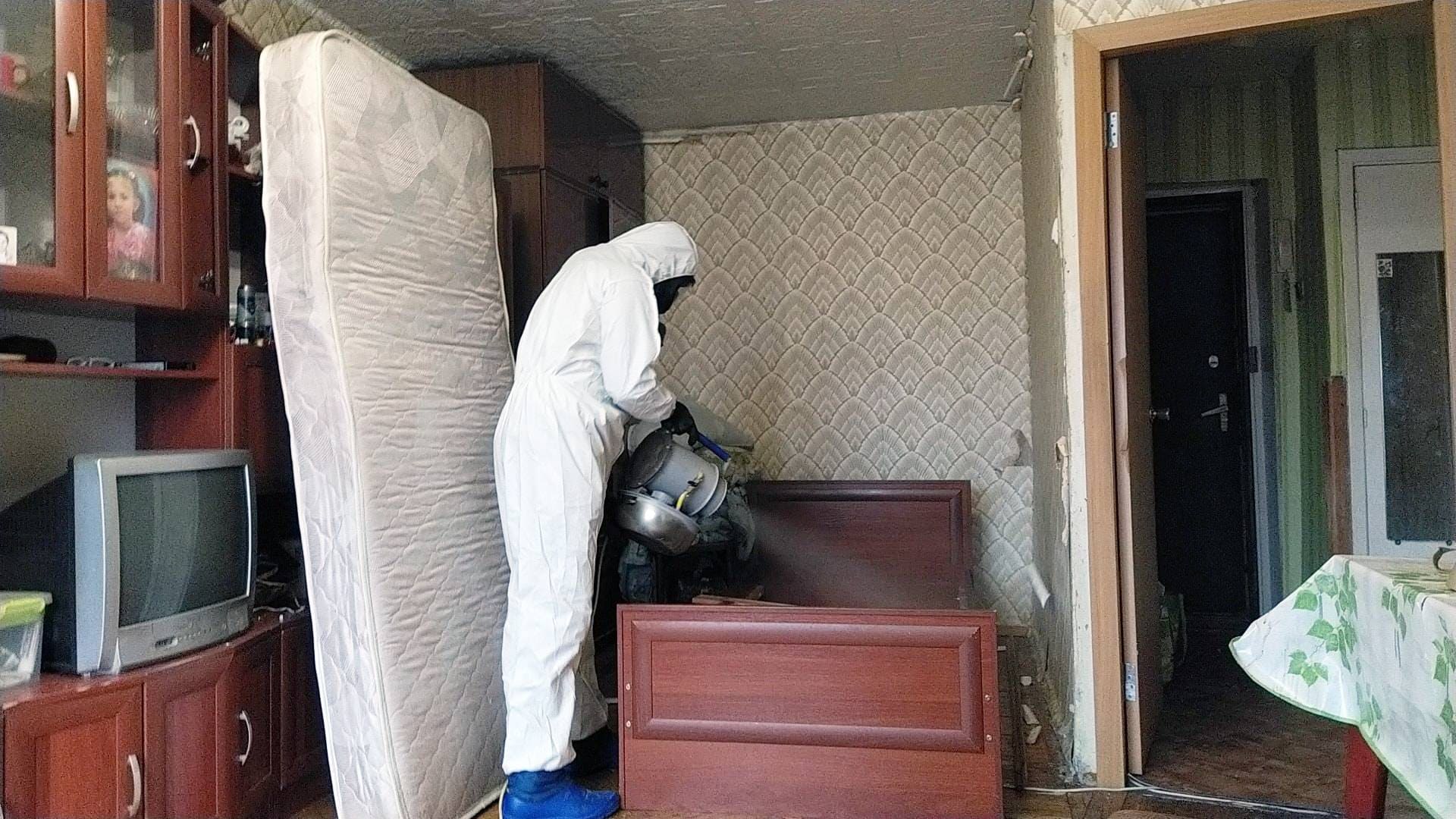 Уничтожению блох в Ядрово - Дезинсекция уничтожение блох с гарантией - Уничтожение и обработка блох дезинфекция Уничтожению блох в Ядрово - Дезинсекция уничтожение блох с гарантией - Уничтожение и обработка блох дезинфекция