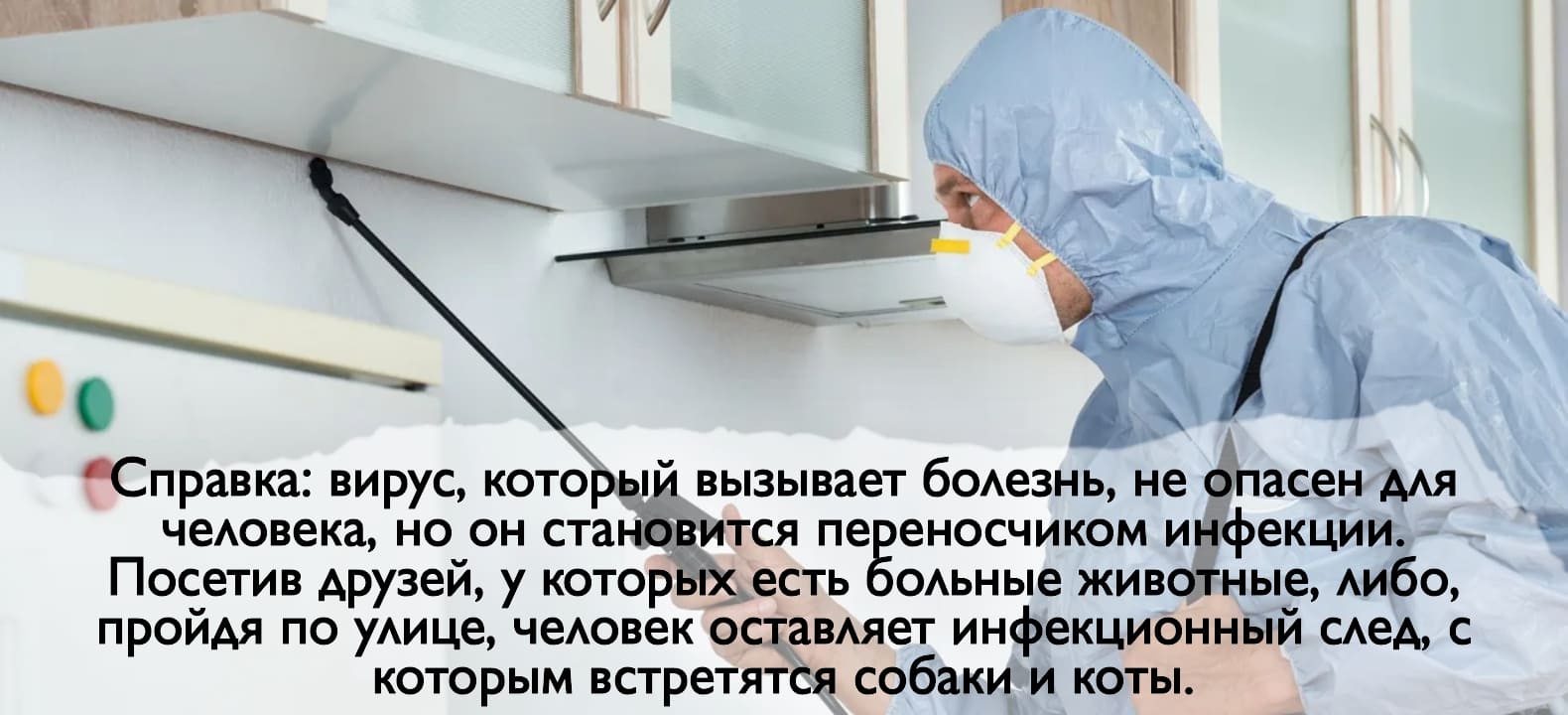 Вызвать СЭС. Уничтожения клопов. Демеркуризация. Дезинсекция.Дератизация ROS-DEZ