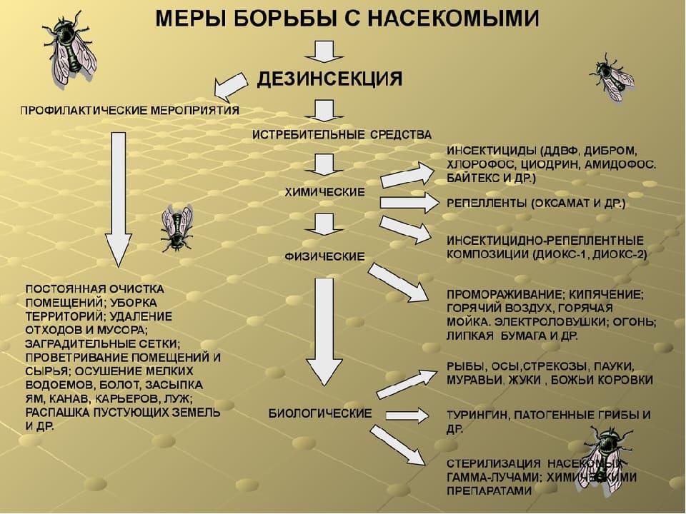 Дезинсекция в Збышках и Московской области дезинсекция насекомых и грызунов - Уничтожение насекомых грызунов в Збышках цены - Полное уничтожение тараканов в Збышках с гарантией